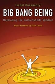 Tapa de Big Bang Being Developing The Sustainability Mindset