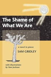 Tapa de The Shame Of What We Are A Novel In Pieces