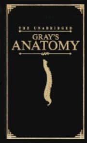 Tapa de Anatomy
