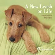 Tapa de A New Leash on Life
