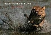 Tapa de Relentless enemies