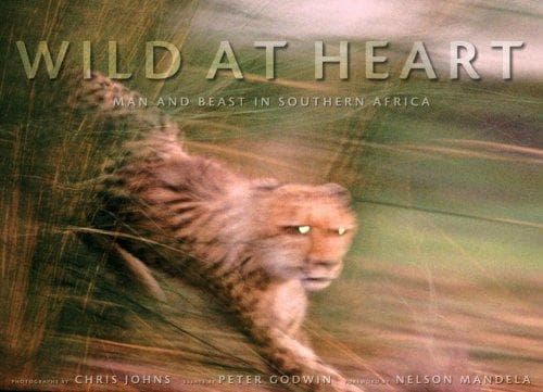 Tapa de Wild at Heart