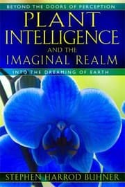 Tapa de Plant Intelligence And The Imaginal Realm Beyond The Doors Of Perception Into The Dreaming Earth