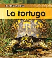 Tapa de La Tortuga