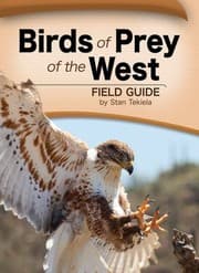 Tapa de Birds Of Prey Of The West Field Guide
