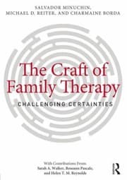 Tapa de The craft of family therapy