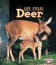 Tapa de Deer
First Step Nonfiction Paperback
