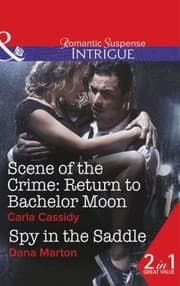 Tapa de Return To Bachelor Moon