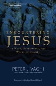 Tapa de Encountering Jesus In Word Sacraments And Works Of Charity