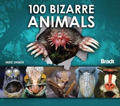 Tapa de 100 Bizarre Animals