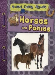 Tapa de Horses And Ponies