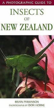 Tapa de A Photographic Guide To Insects Of New Zealand
