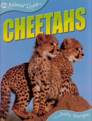 Tapa de Cheetahs