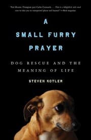 Tapa de A Small Furry Prayer Dog Rescue And The Meaning Of Life