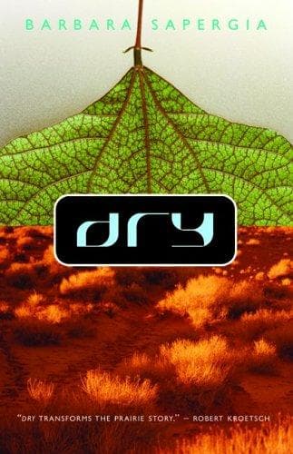 Tapa de Dry