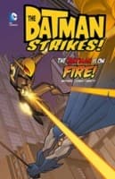 Tapa de The Batman Is On Fire