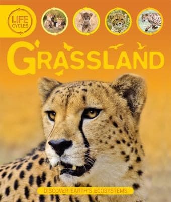 Tapa de Grassland