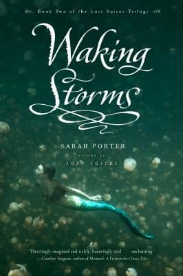 Tapa de Waking Storms