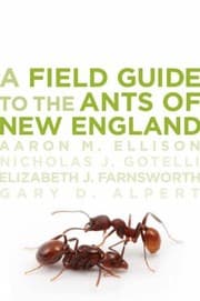 Tapa de A Field Guide To The Ants Of New England