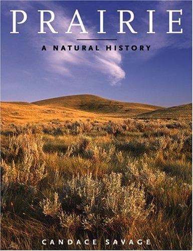 Tapa de Prairie