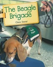 Tapa de The Beagle Brigade