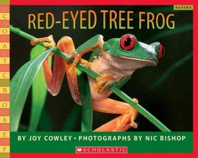 Tapa de Redeyed Tree Frog