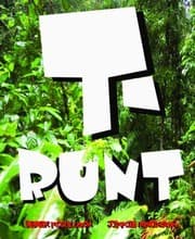 Tapa de T Runt
