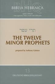 Tapa de The Twelve Minor Prophets