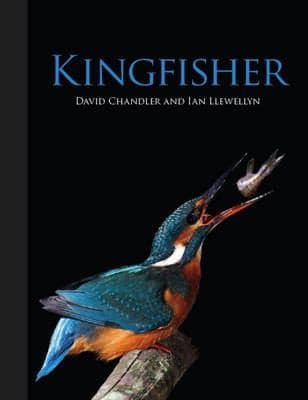 Tapa de Kingfisher