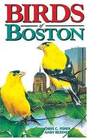 Tapa de Birds of Boston