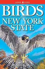 Tapa de Birds of New York State