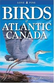 Tapa de Birds of Atlantic Canada