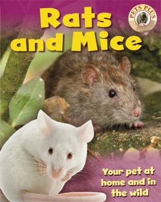 Tapa de Rats And Mice