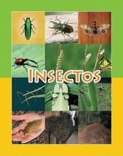 Tapa de Insectos
            
                Coleccion Facil de Leer Easy Readers K2