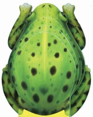 Tapa de Little Frog