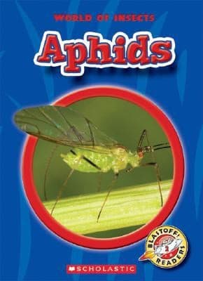 Tapa de Aphids