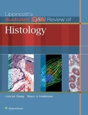 Tapa de Lippincotts Illustrated QA Review of Histology
            
                Lippincotts Illustrated QA Review