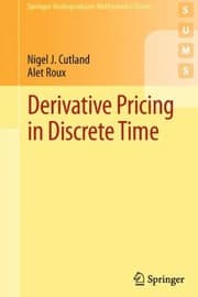 Tapa de Derivative Pricing In Discrete Time