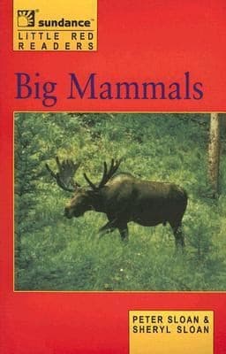 Tapa de Big Mammals