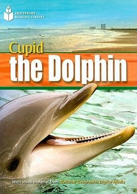 Tapa de Cupid The Dolphin