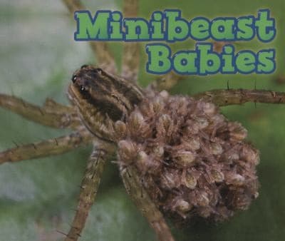 Tapa de Minibeast Babies