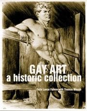 Tapa de Gay art