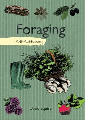 Tapa de Foraging