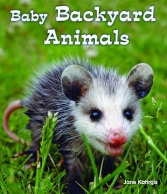 Tapa de Baby Backyard Animals
