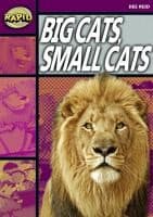 Tapa de Big Cats Small Cats