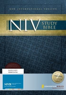 Tapa de Zondervan Study BibleNIV