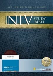 Tapa de Zondervan Study BibleNIV