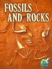 Tapa de Fossils And Rocks