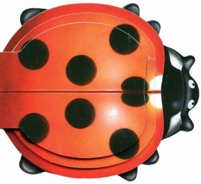 Tapa de Little Ladybug