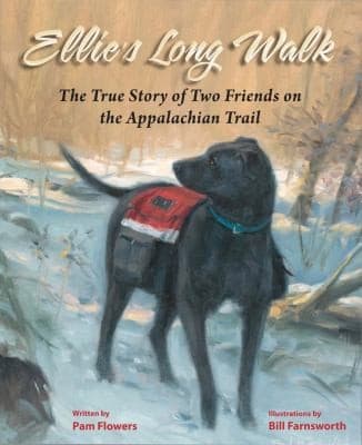 Tapa de Ellies Long Walk